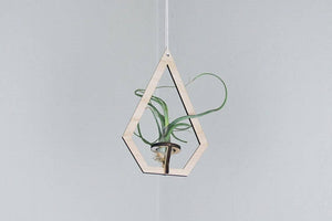 Suspended Shapes Air Planter + Airplant