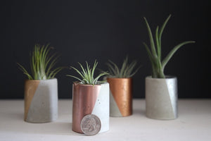 Mini Concrete Handpainted Planters - Set of 4
