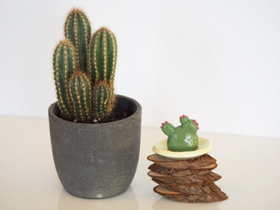 Ring Holder,cactus Ring Holder Dish For Jewelry, Ceramic Succulent Ring  Holders